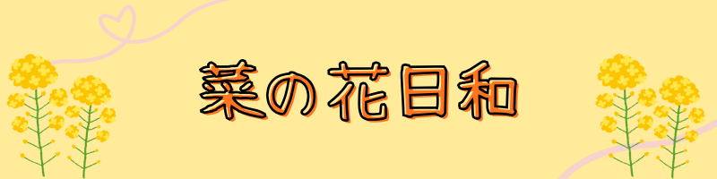 菜の花日和